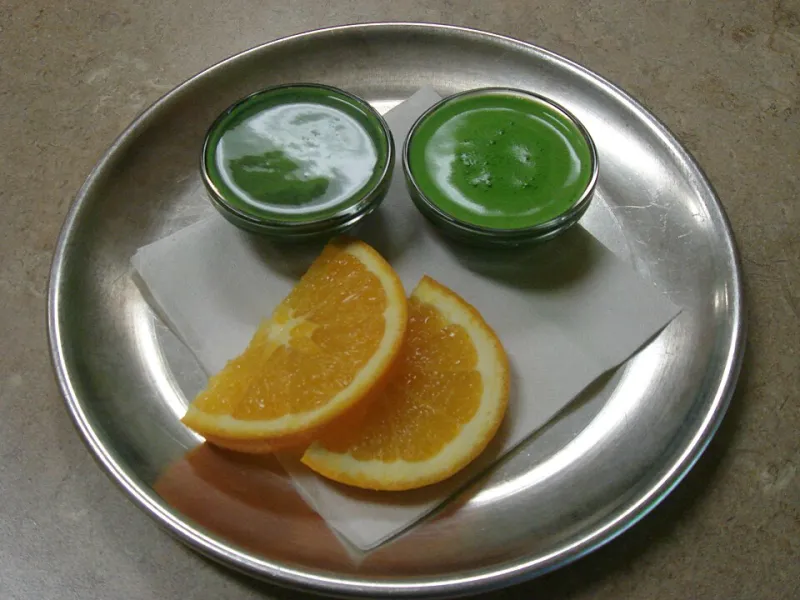 January's Detox Industry Sells You Guilt, Not Science — Your Body Already Handled the Holidays