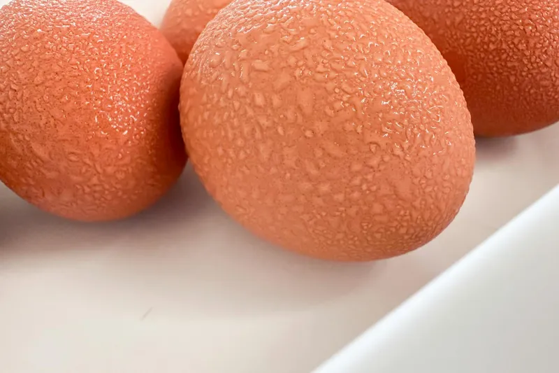 That Food You Just Dropped? The Five-Second Rule Has Some Science Behind It — Just Not Where You'd Expect