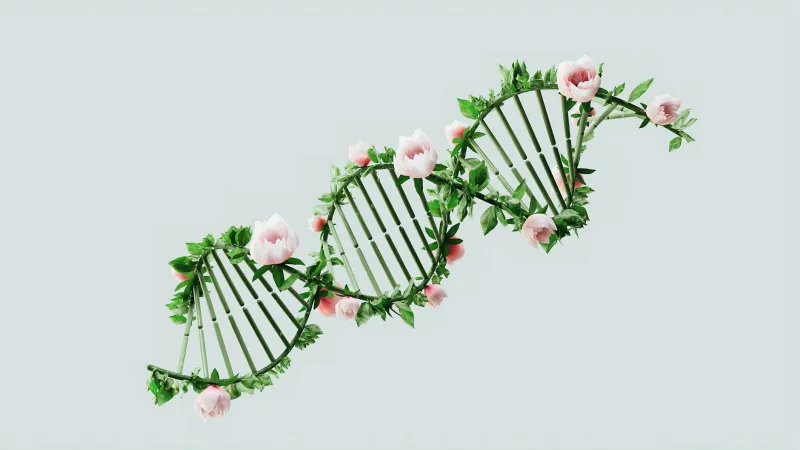 Scientists Quietly Discovered Most of Your DNA Isn't 'Junk' — It's Running the Show